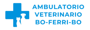 Ambulatorio Veterinario Bo-Ferri-Bo Collegno